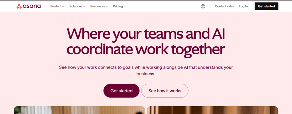 Asana project timeline view, a popular agile software tool for cross-functional teams and workflows.